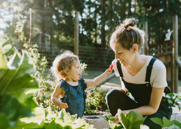 The Benefits of Gardening for Mental and Physical Health