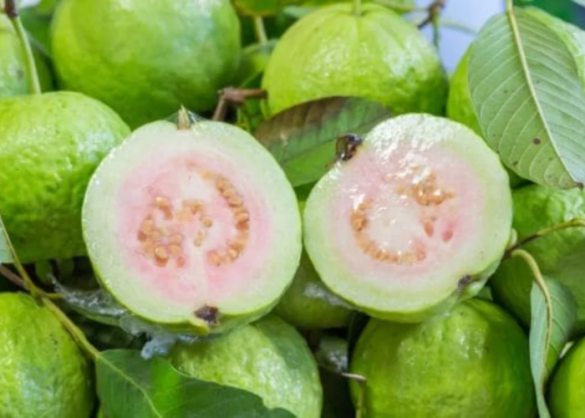 Wellhealthorganic.com:5-Amazing-Health-Benefits-Of-Guava